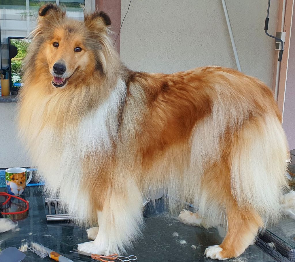 Romy schneider clos de seawind